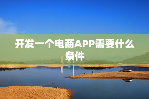 开发一个电商APP需要什么条件