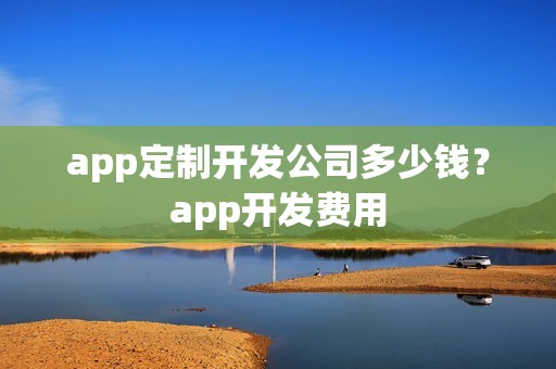 app定制开发公司多少钱？app开发费用