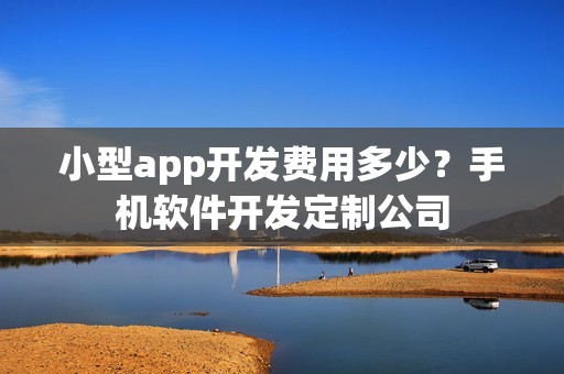 小型app开发费用多少？手机软件开发定制公司