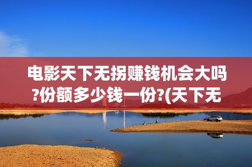 电影天下无拐赚钱机会大吗?份额多少钱一份?(天下无拐我要看这部电影)
