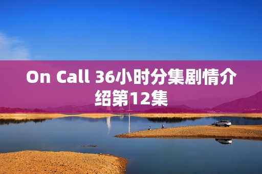 On Call 36小时分集剧情介绍第12集