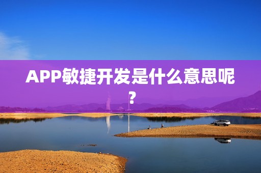 APP敏捷开发是什么意思呢？
