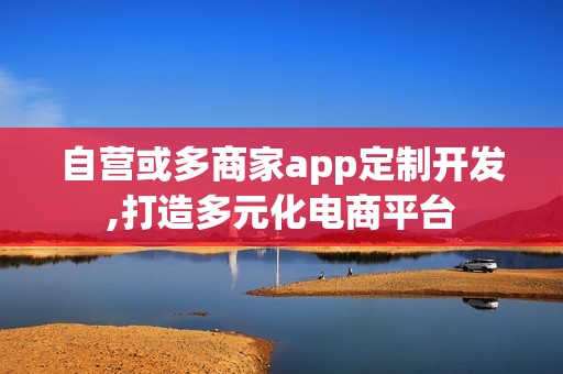 自营或多商家app定制开发,打造多元化电商平台