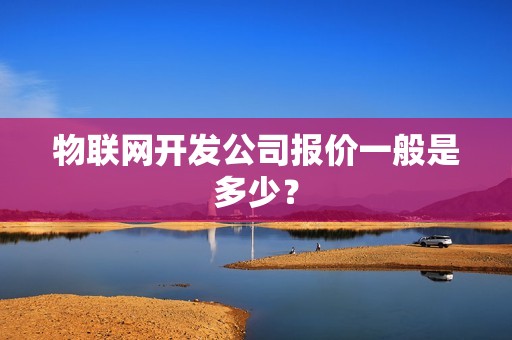 物联网开发公司报价一般是多少？