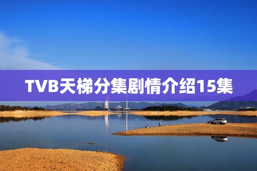 TVB天梯分集剧情介绍15集