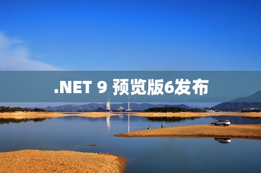 .NET 9 预览版6发布