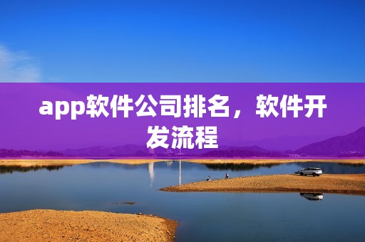 app软件公司排名，软件开发流程