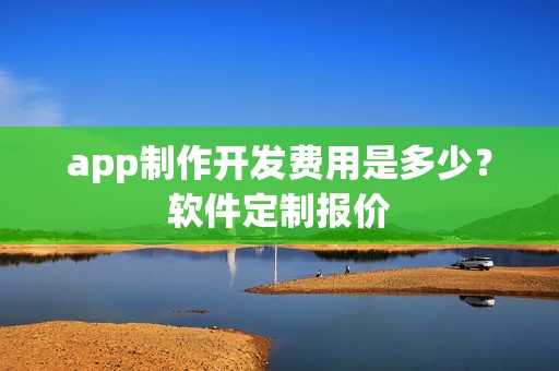 app制作开发费用是多少？软件定制报价