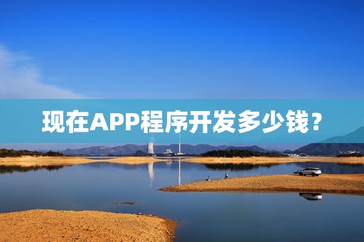 现在APP程序开发多少钱？