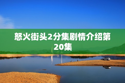 怒火街头2分集剧情介绍第20集