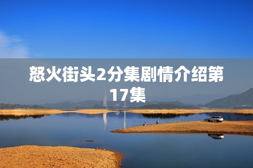 怒火街头2分集剧情介绍第17集