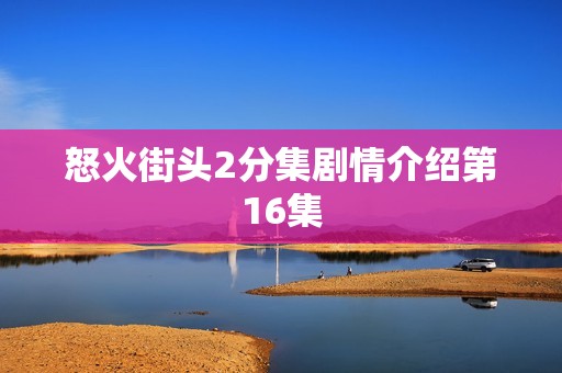 怒火街头2分集剧情介绍第16集