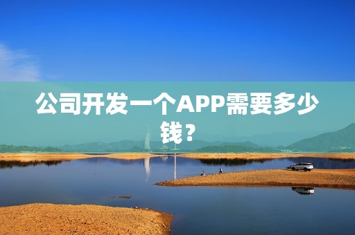 公司开发一个APP需要多少钱？