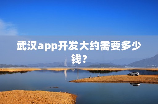 武汉app开发大约需要多少钱？