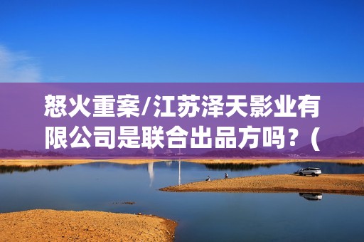 怒火重案/江苏泽天影业有限公司是联合出品方吗？(怒火重案视频)