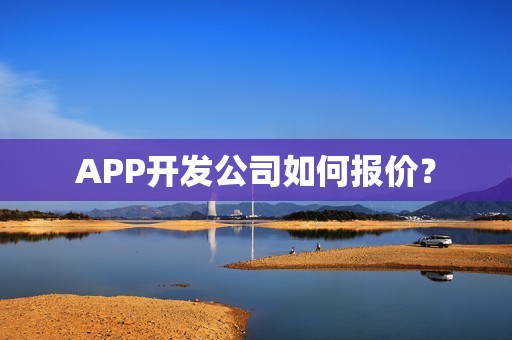 APP开发公司如何报价？