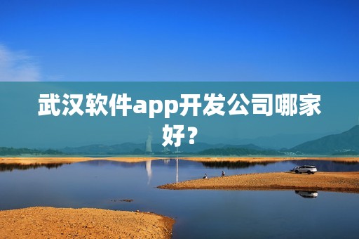 武汉软件app开发公司哪家好？