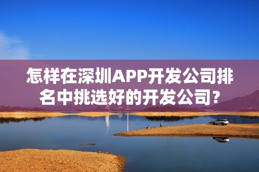 怎样在深圳APP开发公司排名中挑选好的开发公司？