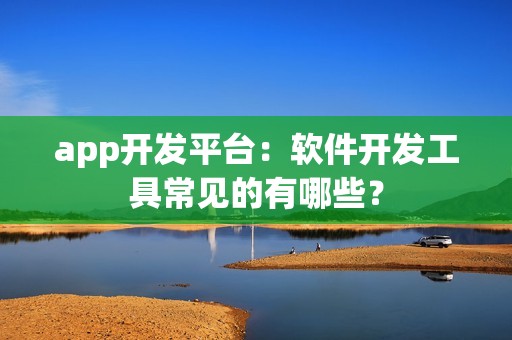 app开发平台：软件开发工具常见的有哪些？