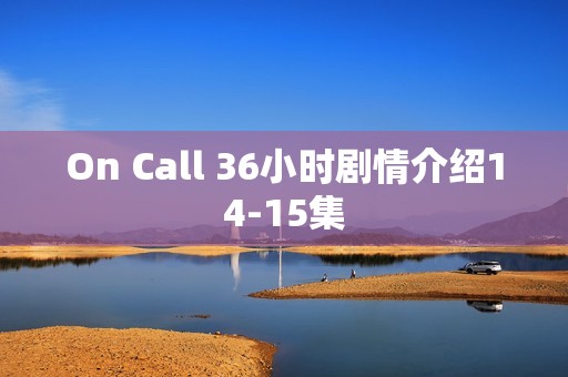 On Call 36小时剧情介绍14-15集