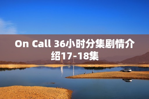 On Call 36小时分集剧情介绍17-18集