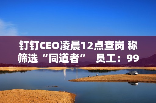 钉钉CEO凌晨12点查岗 称筛选“同道者”  员工：99%的人离职都是因为他