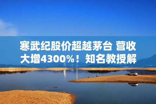 寒武纪股价超越茅台 营收大增4300%！知名教授解读