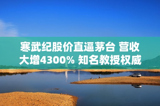 寒武纪股价直逼茅台 营收大增4300% 知名教授权威解读高估值核心