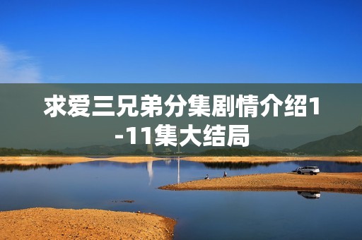 求爱三兄弟分集剧情介绍1-11集大结局