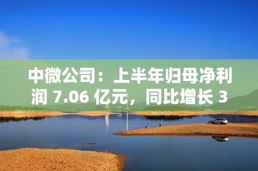 中微公司：上半年归母净利润 7.06 亿元，同比增长 36.62%