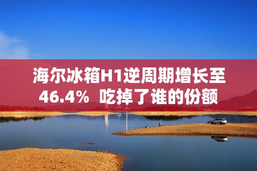 海尔冰箱H1逆周期增长至46.4%  吃掉了谁的份额