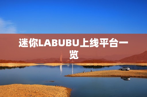 迷你LABUBU上线平台一览