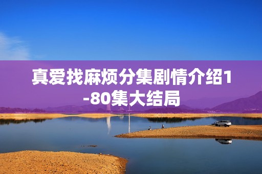 真爱找麻烦分集剧情介绍1-80集大结局