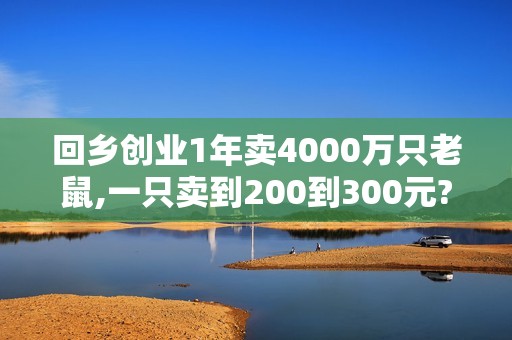 回乡创业1年卖4000万只老鼠,一只卖到200到300元?