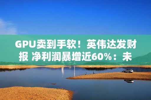 GPU卖到手软！英伟达发财报 净利润暴增近60%：未向中国客户销售H20