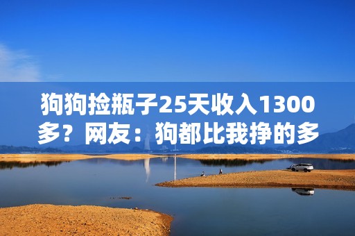 狗狗捡瓶子25天收入1300多？网友：狗都比我挣的多