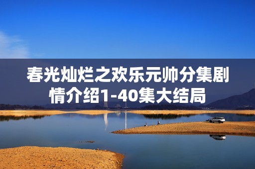 春光灿烂之欢乐元帅分集剧情介绍1-40集大结局