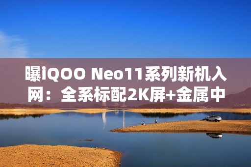 曝iQOO Neo11系列新机入网：全系标配2K屏+金属中框