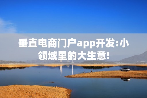 垂直电商门户app开发:小领域里的大生意!