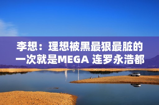 李想：理想被黑最狠最脏的一次就是MEGA 连罗永浩都看不下去了
