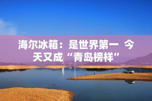 海尔冰箱：是世界第一  今天又成“青岛榜样”