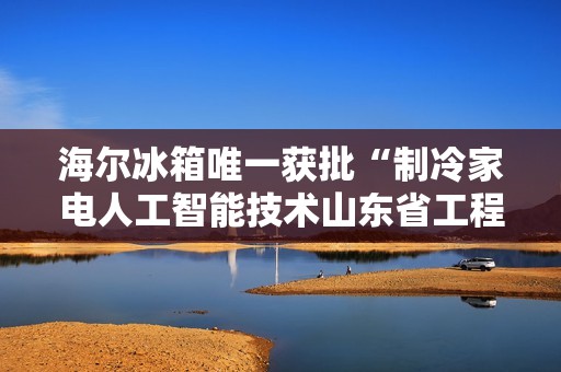 海尔冰箱唯一获批“制冷家电人工智能技术山东省工程研究中心”