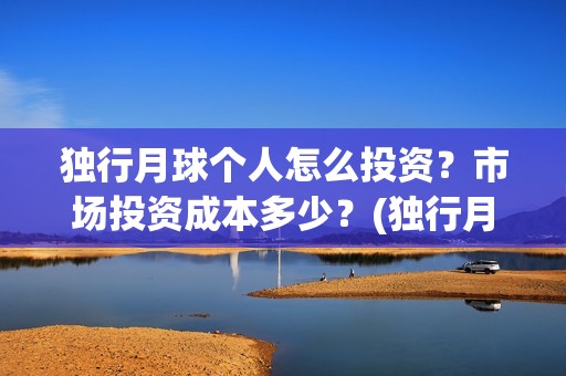 独行月球个人怎么投资？市场投资成本多少？(独行月球电影女主)