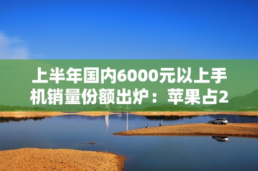 上半年国内6000元以上手机销量份额出炉：苹果占2/3