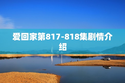 爱回家第817-818集剧情介绍