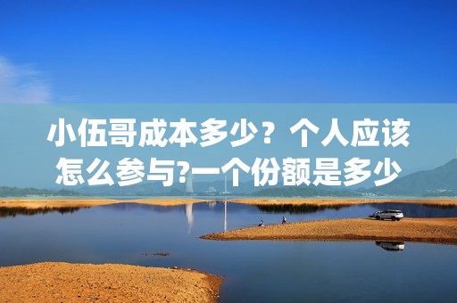 小伍哥成本多少？个人应该怎么参与?一个份额是多少?(网红小伍哥怎么火的)