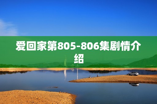 爱回家第805-806集剧情介绍