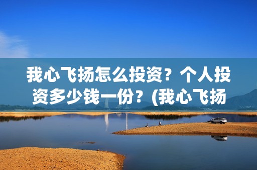 我心飞扬怎么投资？个人投资多少钱一份？(我心飞扬自己哪里开机)