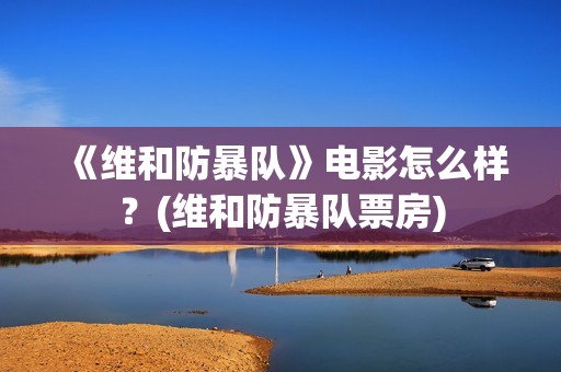 《维和防暴队》电影怎么样？(维和防暴队票房)