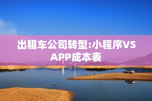 出租车公司转型:小程序VSAPP成本表